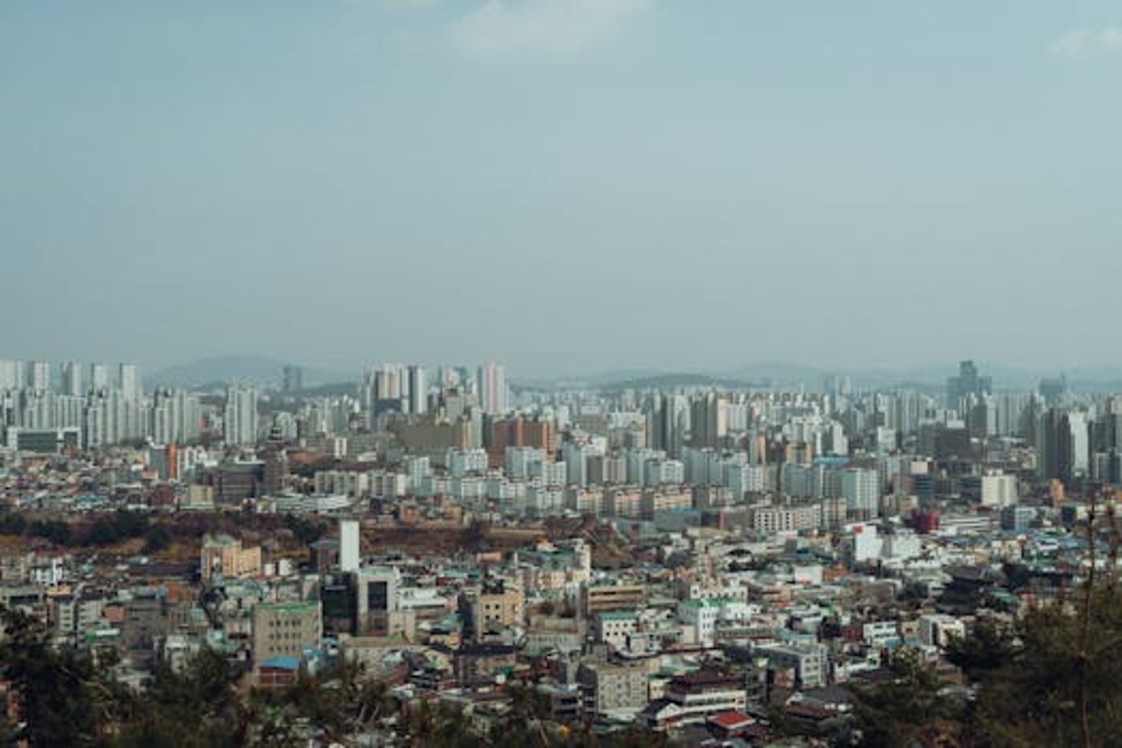 Symbol image of Suwon