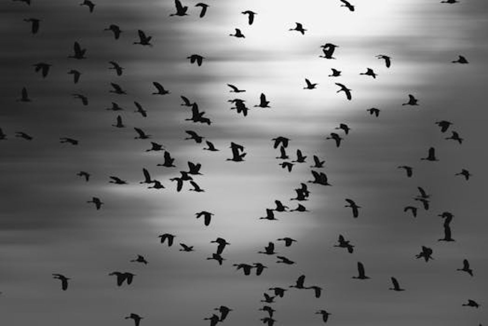 Symbol image of Khulna